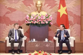 越南国会主席王廷惠会见欧洲议会外交事务委员会主席大卫·麦卡利斯特