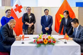 越南与汤加王国建立外交关系