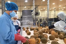 奥地利是越南农产品具有潜力的出口市场