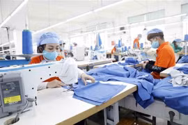 越南企业抓住CPTPP带来的机遇