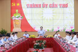 越南国会主席王廷惠：将芹苴市建设成为生态文明现代化城市