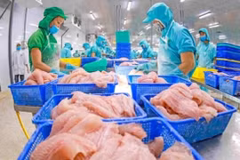 2024年越南水产品出口可达95亿美元的目标