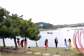 2023年越南电影节将在大叻市举行