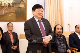 努力保护与弘扬在德国的越南文化和艺术