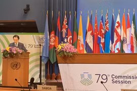 越南外交部副部长杜雄越赴泰出席亚太经社会第79届年会 会见帕劳总统和日本外务省副大臣