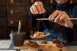 东盟与印度重新启动传统医学领域的合作