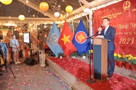 越南驻各国大使馆举行迎新春活动 共叙亲情友情乡情