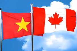 越南国家统一48周年：旅加越南人对国家发展成就印象深刻