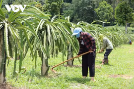 助力山罗省山区摆脱贫困