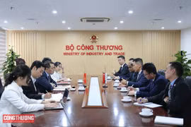 越南与新加坡推动能源领域的合作关系