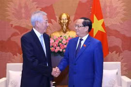 进一步推动越南与新加坡战略伙伴关系朝着务实和有效的方向发展