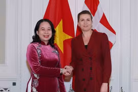国家副主席武氏映春对丹麦和挪威的访问之旅取得圆满成功