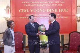 越南国会主席王廷惠：越南与古巴传统友谊万古长存