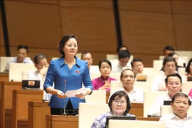 越南第十五届国会第五次会议新闻公报（第九号）