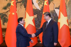 许利平教授：加强政治互信 提升越南国际形象