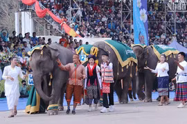 老挝提出2024年旅游营业收入超过7亿美元的目标