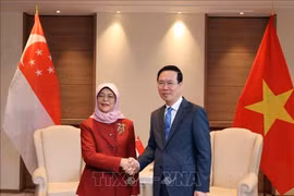 国家主席武文赏会见新加坡总统哈莉玛·雅各布