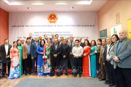 经济外交：加强越南产品在捷克的推广