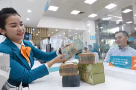 越南国家银行：自3月15日起将基准利率下调0.5-1%