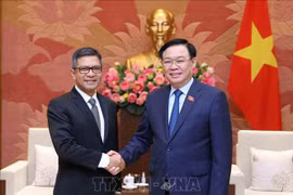 印尼驻越南大使：越南与印尼促进互利合作