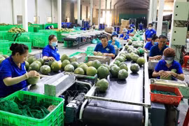 预期2023年最后两个月果蔬出口额可达12亿美元