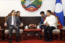 老挝党和国家高级领导人会见越共中央对外部代表团