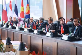 第42届东盟峰会：通过东盟共同体三大支柱的多项文件