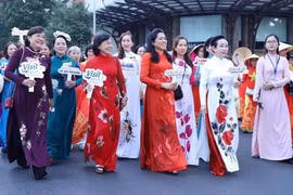 胡志明市：3000人参加奥黛步行活动