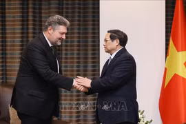 越南总理范明政会见土耳其经济集团领导人 