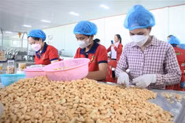 越南驻以色列商务参赞黎蔡和：防范国际贸易风险 利用自贸协定 促进对以出口
