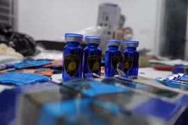 胡志明市警方侦破一起大规模非法运输制毒原料案