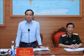 越南政府副总理陈流光：密切配合做好自然灾害防控和搜救工作