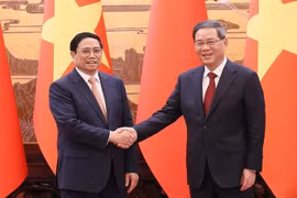 加强越中全面战略合作伙伴关系，提高越南在全球性问题上的发言权