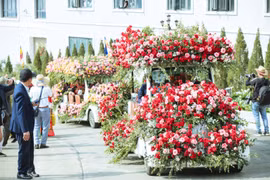 沙坝首届玫瑰花节 邀您来赏花