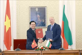 越南国会主席王廷惠与保加利亚议会议长罗森·热利亚兹科夫举行会谈