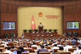 十五届国会六次会议：讨论《维护基层安全秩序的力量法（草案）》
