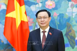 促进越南与孟加拉国传统友好合作关系