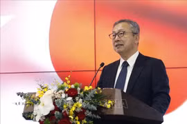日本驻越南大使山田：武文赏日本之行传递出两国关系致力于地区和平与繁荣的信息