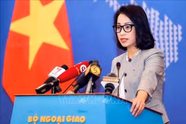 中国在长沙群岛实体设置浮灯信标是侵犯越南主权行为