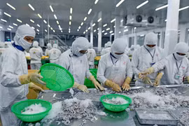 虾业峰会：适应气候变化实现可持续发展