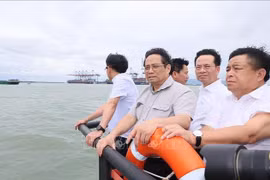 越南政府总理范明政：将芹耶县建设成为林中之城