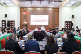 越南积极加强与外国非政府组织的信息交流