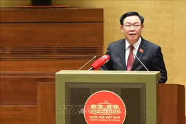 越南国会主席王廷惠会见越南驻外大使和代表机构负责人