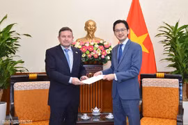 加强越南与法语国家和地区国际组织的合作关系