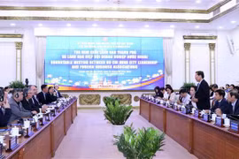 外资企业就优化胡志明市投资环境建言献策