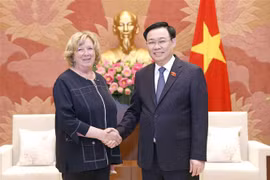 越南国会主席王廷惠会见法国参议院法越友好议员小组主席