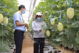 越南农业与农村发展部部长：根据市场需求启动人力资源培训工作