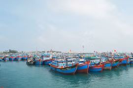 解除IUU“黄牌”警告：加强宣传力度 对渔船严格管理