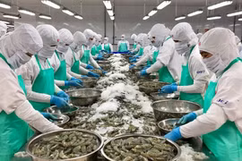 越南对挪威水产品出口的合作机会