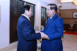 第42届东盟峰会：越南政府总理范明政会见柬埔寨首相洪森